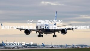 着陸態勢の旅客機
