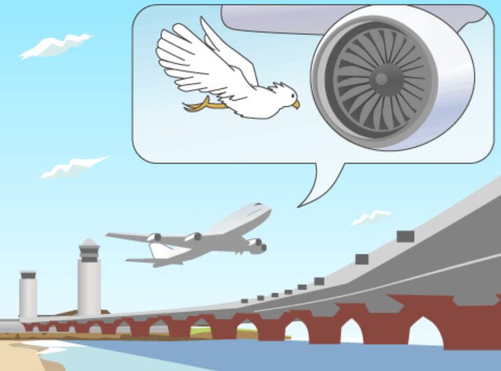 バードストライク対策のイラスト