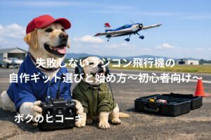 ラジコン飛行機を操作するラブラドールの親子 背景は飛行場