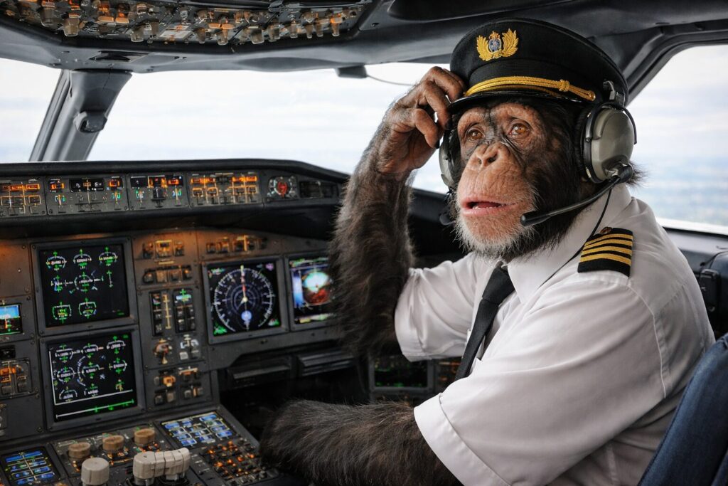 コクピットの計器を見て迷うチンパンジーのパイロット