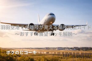 着陸態勢の大型旅客機
