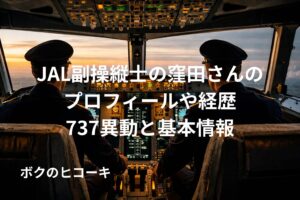 旅客機のコクピットで操縦するパイロットの後ろ姿
