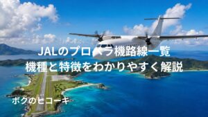 島嶼部の海上を飛行するターボプロップ機