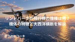 草地の飛行場に駐機する、長い主翼と星形エンジンを備えたライアンNYP風の飛行機